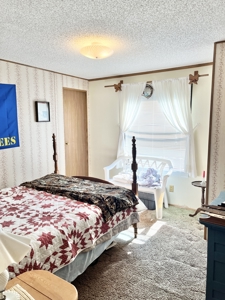 Country Home with Land for Sale in Salem, Missouri - image 14