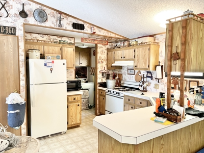 Country Home with Land for Sale in Salem, Missouri - image 10