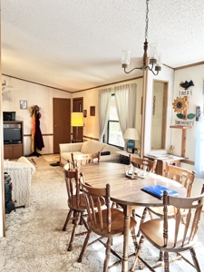 Country Home with Land for Sale in Salem, Missouri - image 8