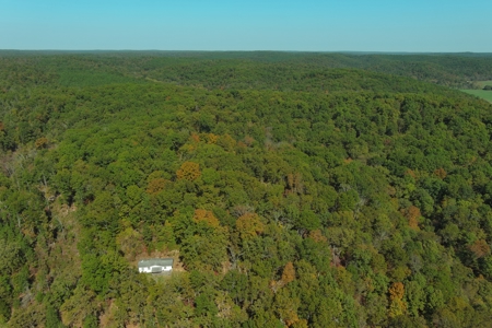 Country Home with Land for Sale in Salem, Missouri - image 1