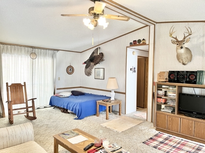 Country Home with Land for Sale in Salem, Missouri - image 13