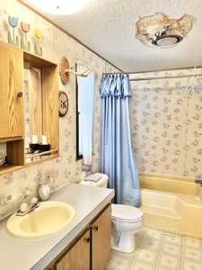 Country Home with Land for Sale in Salem, Missouri - image 16