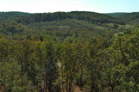 Country Home with Land for Sale in Salem, Missouri - image 25