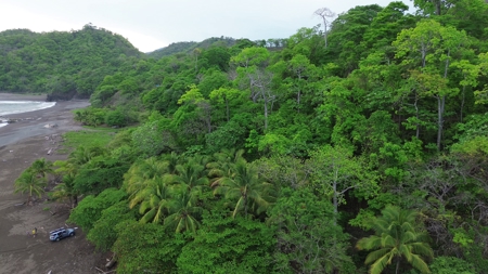 2,000m2 OCEANFRONT LAND IN CAMBUTAL - image 19