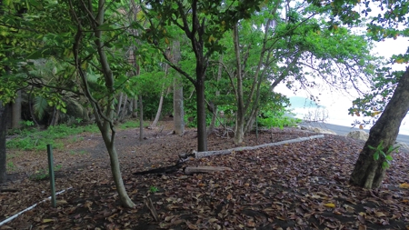 2,000m2 OCEANFRONT LAND IN CAMBUTAL - image 12