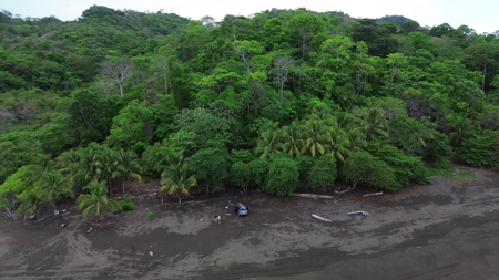 2,000m2 OCEANFRONT LAND IN CAMBUTAL - image 21