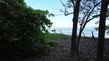 2,000m2 OCEANFRONT LAND IN CAMBUTAL - image 17
