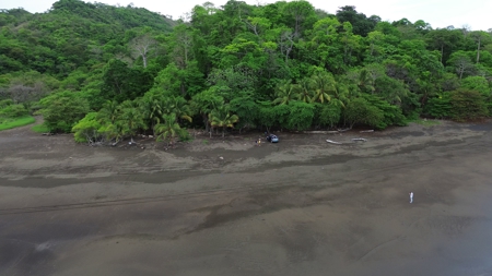 2,000m2 OCEANFRONT LAND IN CAMBUTAL - image 22