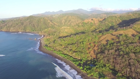 2,000m2 OCEANFRONT LAND IN CAMBUTAL - image 6