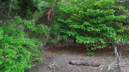 2,000m2 OCEANFRONT LAND IN CAMBUTAL - image 15