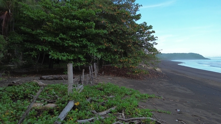 2,000m2 OCEANFRONT LAND IN CAMBUTAL - image 14