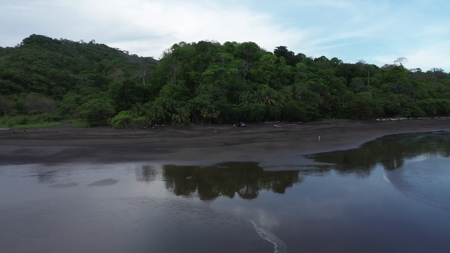 2,000m2 OCEANFRONT LAND IN CAMBUTAL - image 20
