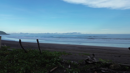 2,000m2 OCEANFRONT LAND IN CAMBUTAL - image 16
