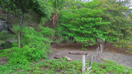 2,000m2 OCEANFRONT LAND IN CAMBUTAL - image 13
