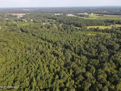 48 Acres for Sale in Jones County, MS Ellisvillle, MS - image 25