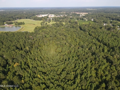 48 Acres for Sale in Jones County, MS Ellisvillle, MS - image 26