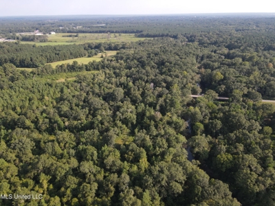 48 Acres for Sale in Jones County, MS Ellisvillle, MS - image 24