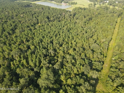 48 Acres for Sale in Jones County, MS Ellisvillle, MS - image 28