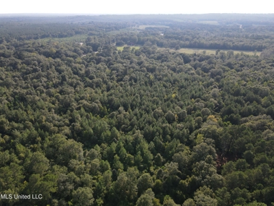 48 Acres for Sale in Jones County, MS Ellisvillle, MS - image 22