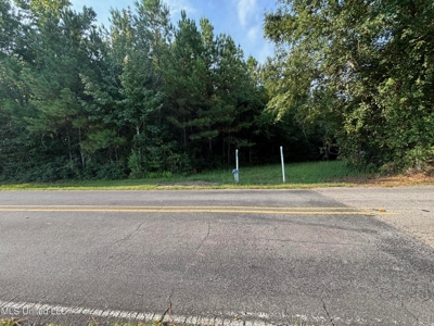 48 Acres for Sale in Jones County, MS Ellisvillle, MS - image 9