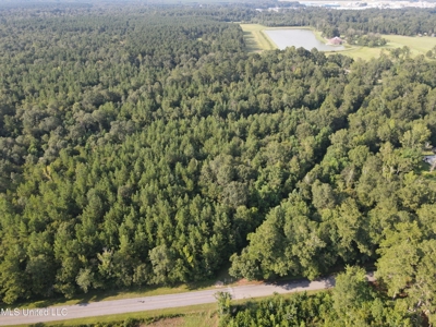 48 Acres for Sale in Jones County, MS Ellisvillle, MS - image 16