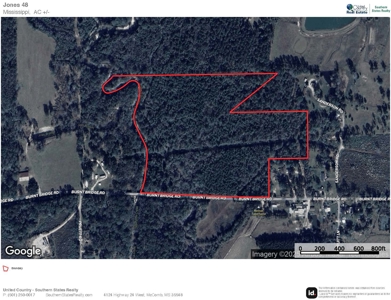 48 Acres for Sale in Jones County, MS Ellisvillle, MS - image 30