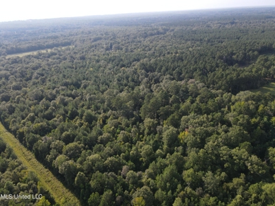 48 Acres for Sale in Jones County, MS Ellisvillle, MS - image 20