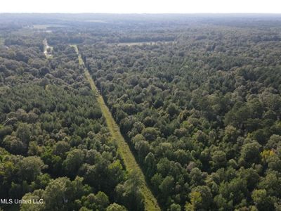 48 Acres for Sale in Jones County, MS Ellisvillle, MS - image 19