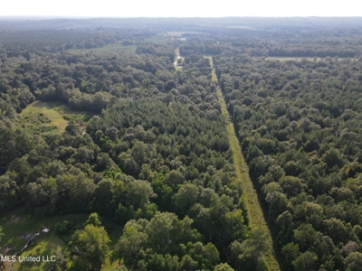 48 Acres for Sale in Jones County, MS Ellisvillle, MS - image 18