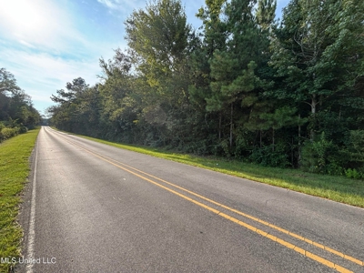 48 Acres for Sale in Jones County, MS Ellisvillle, MS - image 11