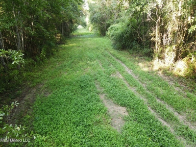 48 Acres for Sale in Jones County, MS Ellisvillle, MS - image 3
