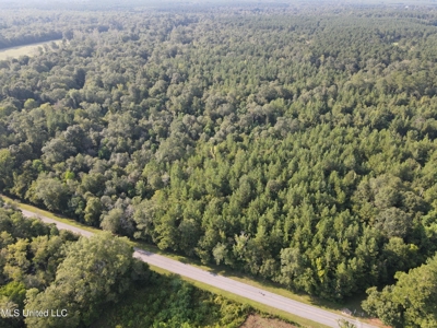 48 Acres for Sale in Jones County, MS Ellisvillle, MS - image 15