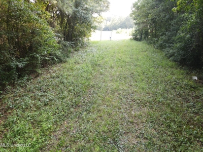 48 Acres for Sale in Jones County, MS Ellisvillle, MS - image 4