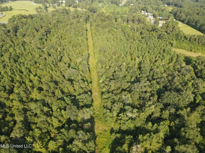 48 Acres for Sale in Jones County, MS Ellisvillle, MS - image 27