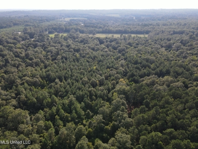 48 Acres for Sale in Jones County, MS Ellisvillle, MS - image 23
