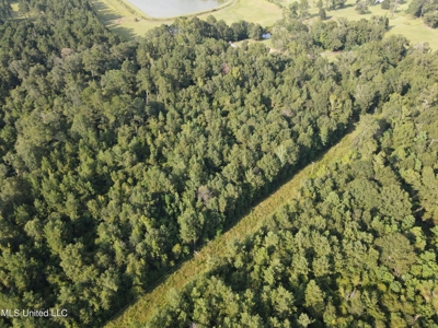 48 Acres for Sale in Jones County, MS Ellisvillle, MS - image 17