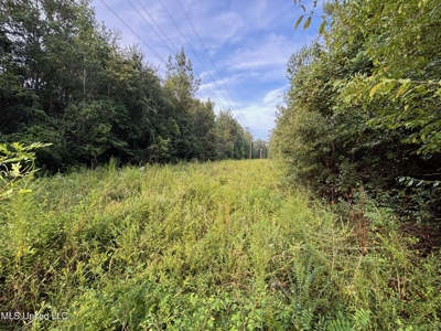 48 Acres for Sale in Jones County, MS Ellisvillle, MS - image 1
