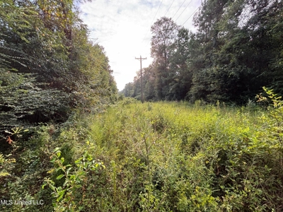 48 Acres for Sale in Jones County, MS Ellisvillle, MS - image 2