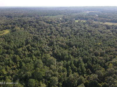 48 Acres for Sale in Jones County, MS Ellisvillle, MS - image 21