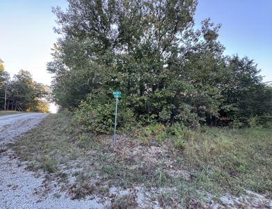 Three Residential Lots For Sale In Horseshoe Bend Arkansas - image 5