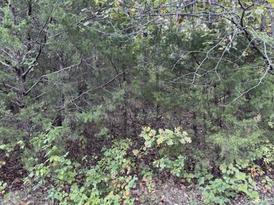 Three Residential Lots For Sale In Horseshoe Bend Arkansas - image 4