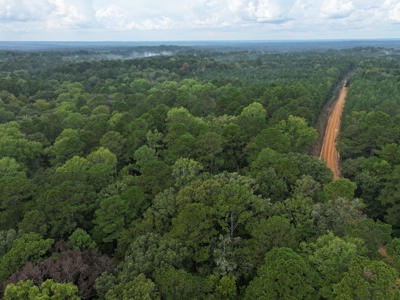 Recreation and Timber Investment Property Amite County Gloster MS - image 17