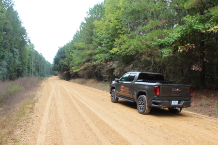 Recreation and Timber Investment Property Amite County Gloster MS - image 3