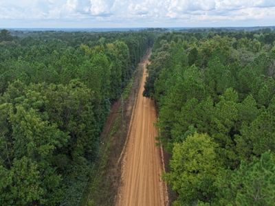 Recreation and Timber Investment Property Amite County Gloster MS - image 15