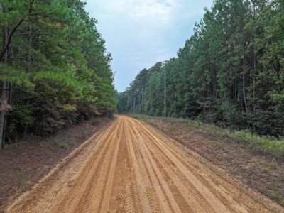 Recreation and Timber Investment Property Amite County Gloster MS - image 14