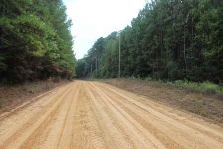 Recreation and Timber Investment Property Amite County Gloster MS - image 2