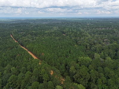 Recreation and Timber Investment Property Amite County Gloster MS - image 19