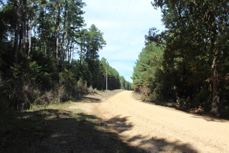 Recreation and Timber Investment Property Amite County Gloster MS - image 22