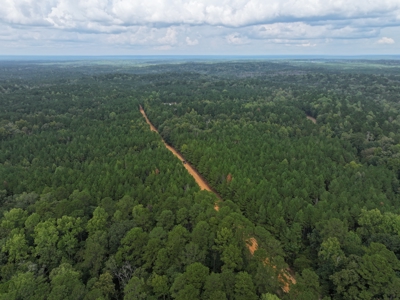 Recreation and Timber Investment Property Amite County Gloster MS - image 13