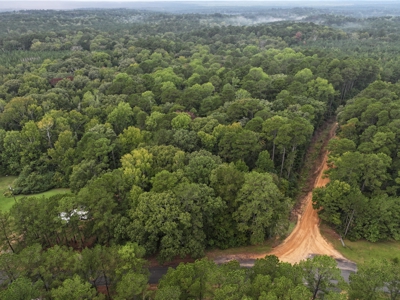 Recreation and Timber Investment Property Amite County Gloster MS - image 18